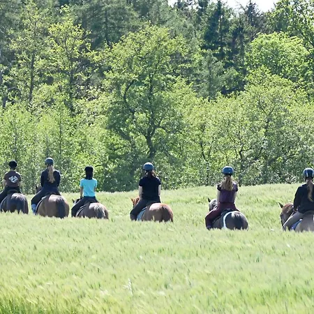 Luxuswellnesshaus Seebrise